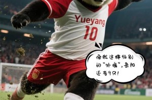 足球比分直播-岳阳熊猫天团出战湘超联赛9月14日对决怀化
