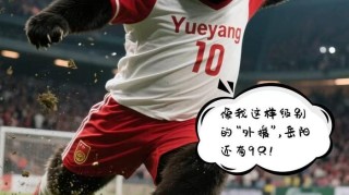 足球比分直播-岳阳熊猫天团出战湘超联赛9月14日对决怀化